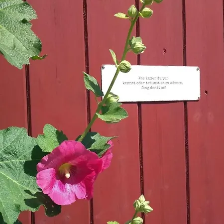 In Grossgrodersby Mit Garten Und Terrasse * Grodersby